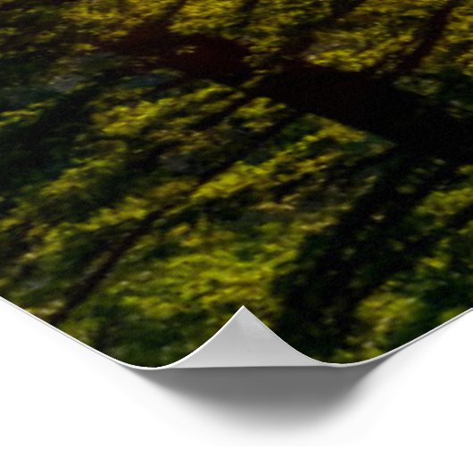 Poster Vue Tunnel (Coin)