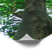 Poster Vue vers le haut des arbres (Coin)