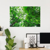 Poster Vue vers le haut des arbres (Bureau à domicile)