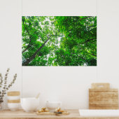 Poster Vue vers le haut des arbres (Cuisine)