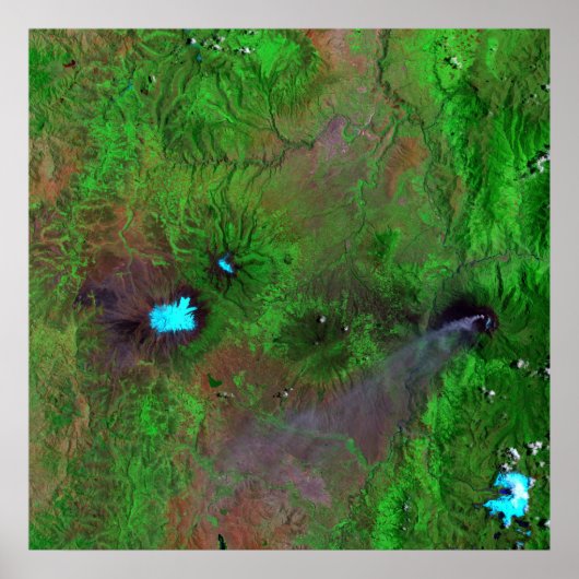 Poster Vue verte (Devant)