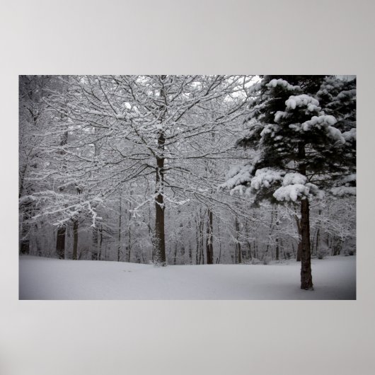 Poster Vue Woods (Devant)