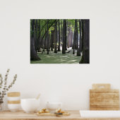 Poster VueCachetCyprès (Cuisine)