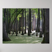 Poster VueCachetCyprès (Devant)