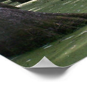 Poster VueCachetCyprès (Coin)