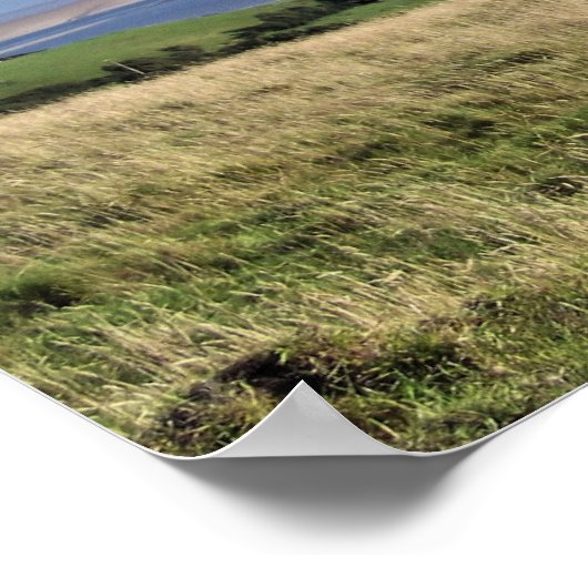 POSTER VUES DES ALLES (Coin)