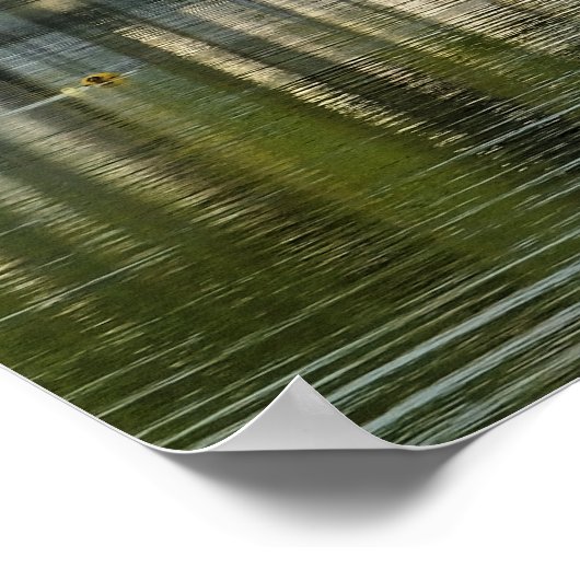 POSTER VUES DES ALLES (Coin)