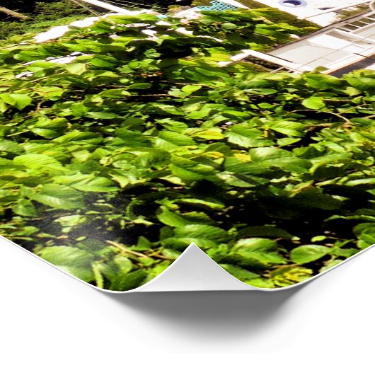 POSTER VUES DES ALLES (Coin)