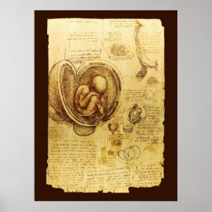Poster Vues d'un fœtus dans l'utérus,Ob-Gyn Médical
