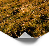 POSTER VUES MONTAGNES (Coin)