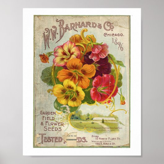 Poster W.W Barnard & Co Garden, Field & Flower Seed 1896 (Devant)
