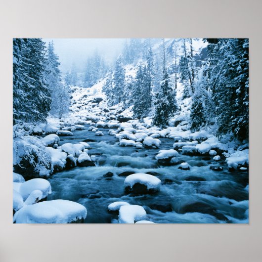Poster WA, forêt nationale de Wenatchee, Cascade (Devant)