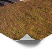 Poster WA, île Maury, phare de Point Robinson, (Coin)