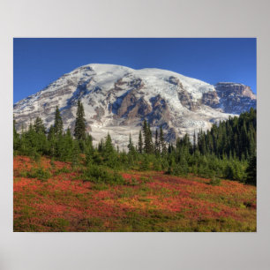 Poster WA, Parc national du mont Rainier, Paradise Valley