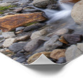 Poster WA, Parc national du Mont-Rainier, ruisseau Edith (Coin)