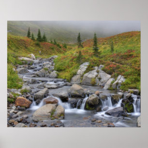 Poster WA, Parc national du mont Rainier, ruisseau Edith