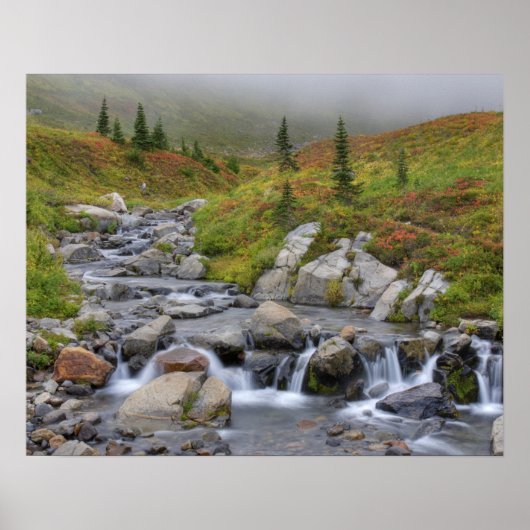 Poster WA, Parc national du Mont-Rainier, ruisseau Edith (Devant)