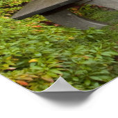 Poster WA, Seattle, Washington Park Arboretum, 2 (Coin)