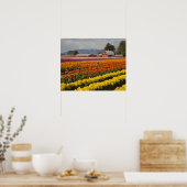 Poster WA, Skagit Valley, Champs de tulipe en fleur, à (Cuisine)