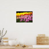 Poster WA, Skagit Valley, Roozengaarde Tulip Garden, 2 (Cuisine)