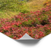 Poster WA, zone de loisirs de Heather Meadows, Mt. 2 (Coin)