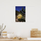 Poster Waboom Protea (Protea Nitidia), Langeberg (Cuisine)