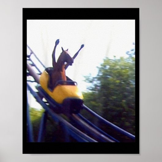 Poster Wacky Horse Riding Roller Coaster Meme Internet Fu (Devant)
