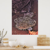 Poster Wacky Weird Wobbegong (Cuisine)