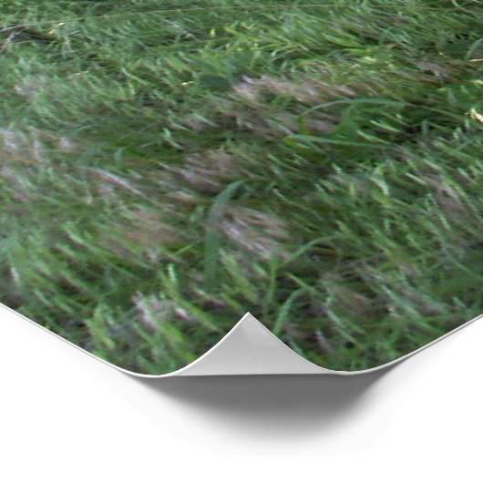 Poster Wagon oublié (Coin)