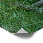 Poster Wagon Wheel (Coin)