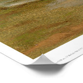 Poster Wagons couverts par Bierstadt (0101A) (Coin)