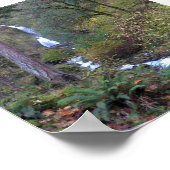 Poster Wahkeena Falls (Coin)