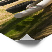 Poster Waikiki_Diamondhead (Coin)