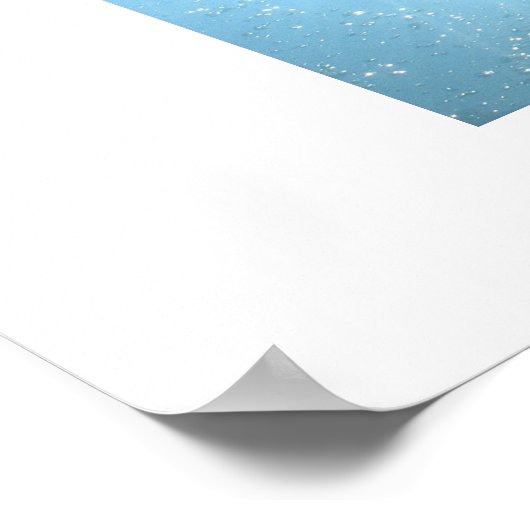 Poster Waikiki Stingray (Coin)