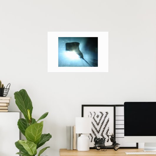 Poster Waikiki Stingray (Bureau à domicile)