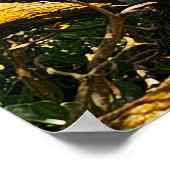 Poster Wailua Golf Course Scene (Coin)