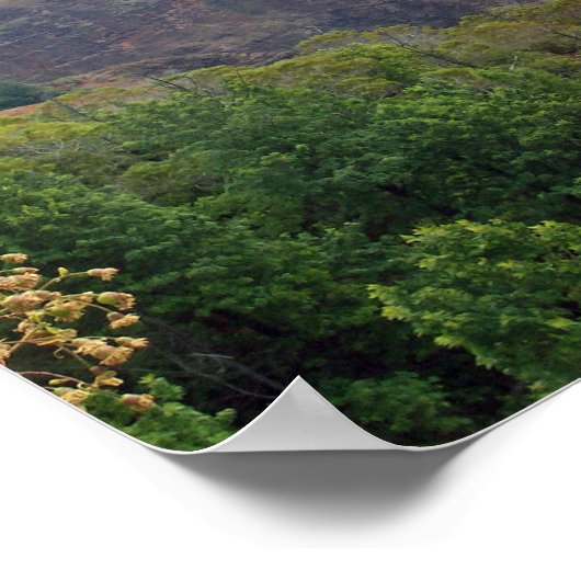 Poster Waimea Canyon (Coin)