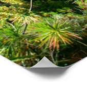 Poster Waimea Canyon | Kauai, Hawaii (Coin)