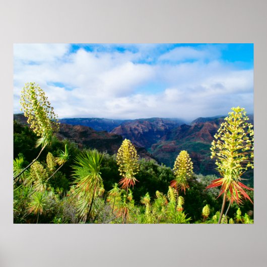 Poster Waimea Canyon | Kauai, Hawaii (Devant)