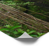 Poster Waimea Falls, Hana, Maui, Hawaii (Coin)