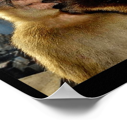 Poster Wait I'm Goated Funny Thinking Monkey Meme Brainro (Coin)