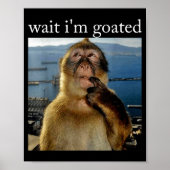 Poster Wait I'm Goated Funny Thinking Monkey Meme Brainro (Devant)