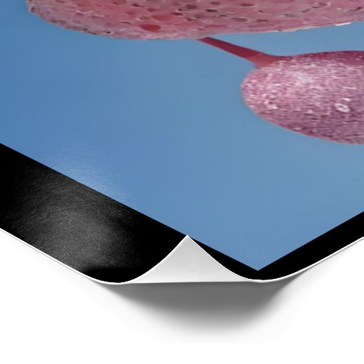 Poster Wake Up Refreshed (Coin)