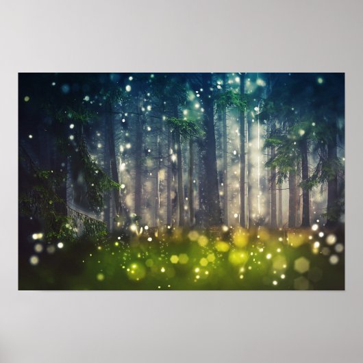 Poster Wald, Bäume auf Waldlichtung, Dämmerung (Devant)