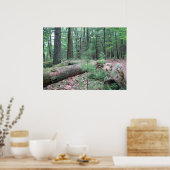 Poster Walden Forest (Cuisine)