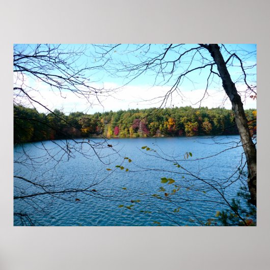 Poster Walden Pond à l'automne (Devant)