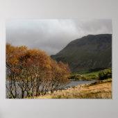 POSTER WALES (Devant)