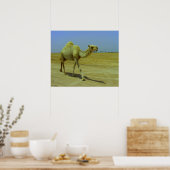 Poster Walking the long road - camels on Failaka island (Cuisine)