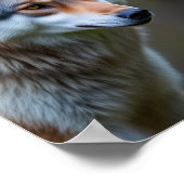 Poster Wall Art &decor (Coin)