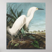  Poster Wall Art - White Egret (Voorkant)